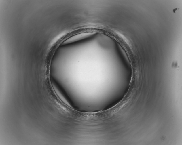 X0000090701310200708101433