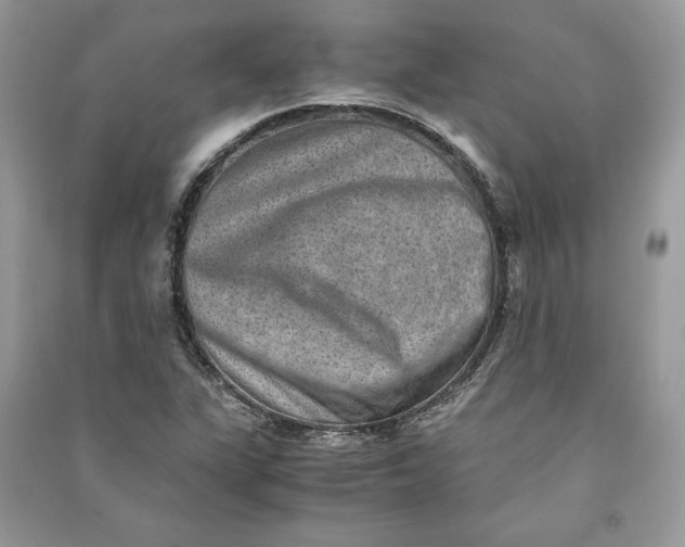 X0000090701311200708101433
