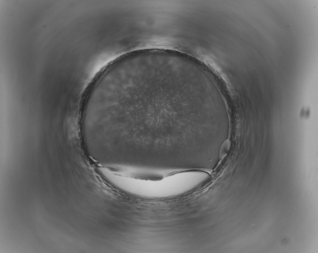 X0000090701312200708101433