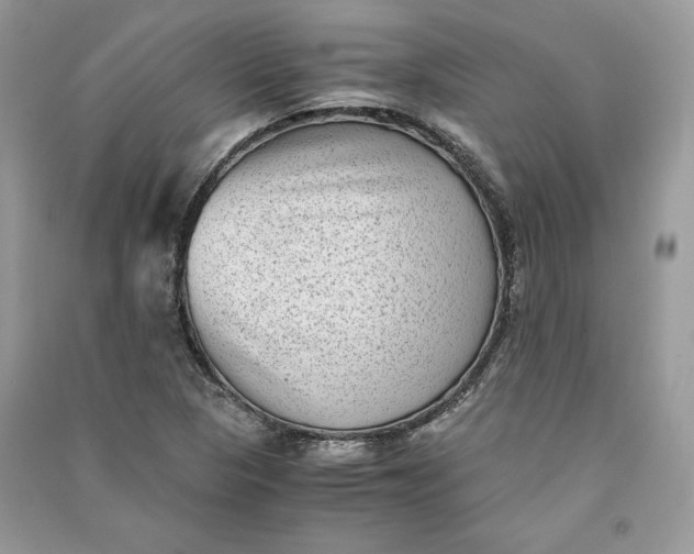 X0000090701313200708101433