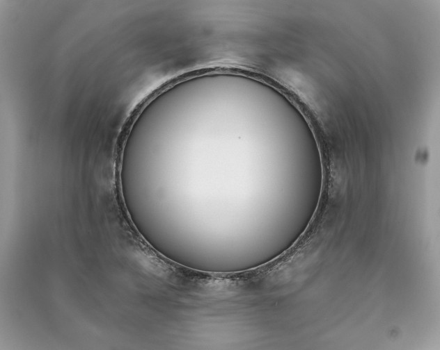 X0000090701316200708101433