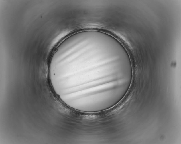 X0000090701317200708101433