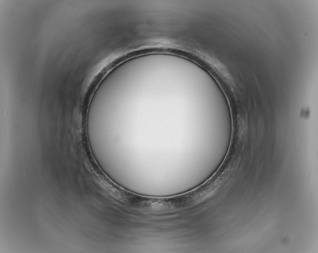 X0000090701318200708101433
