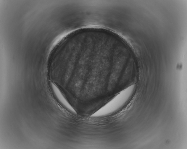 X0000090701319200708101433