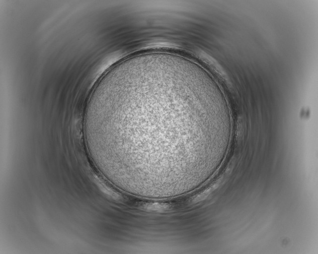 X0000090701321200708101433
