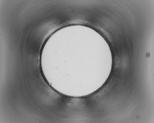 X0000090701322200708101433