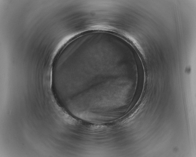 X0000090701323200708101433