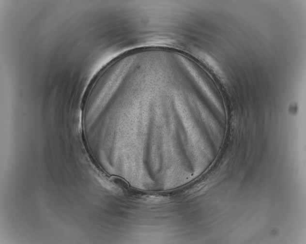 X0000090701324200708101433