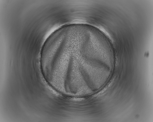 X0000090701325200708101433