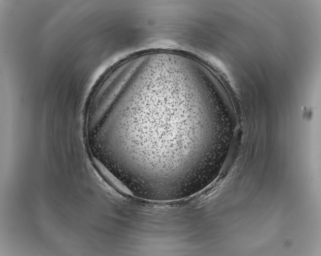 X0000090701326200708101433