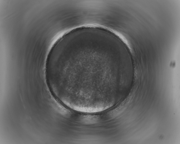 X0000090701327200708101433