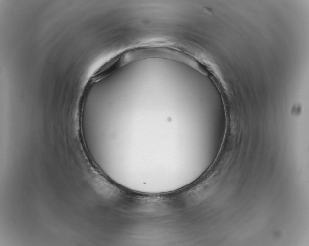 X0000090701328200708101433