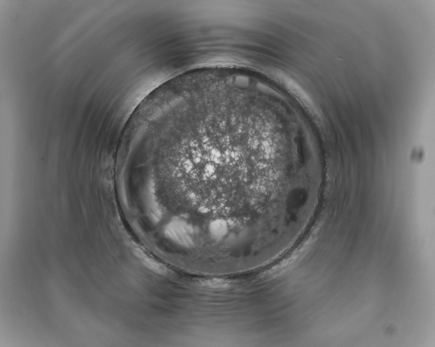 X0000090701329200708101433