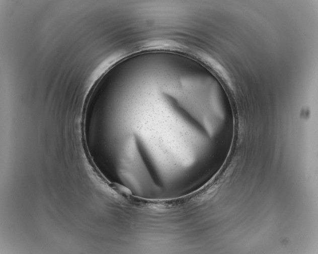 X0000090701330200708101433