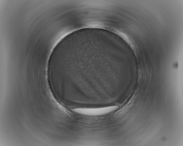 X0000090701331200708101433