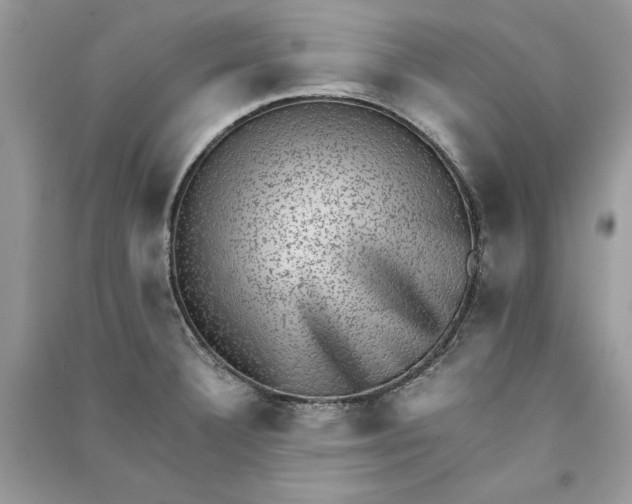 X0000090701332200708101433
