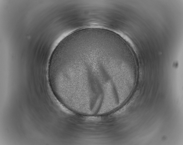 X0000090701333200708101433