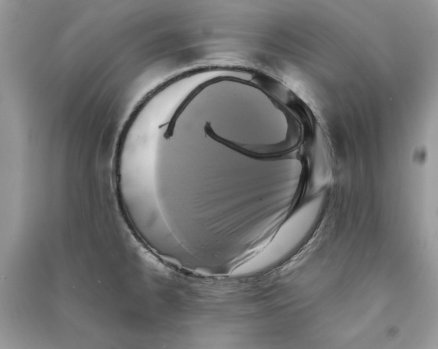 X0000090701334200708101433