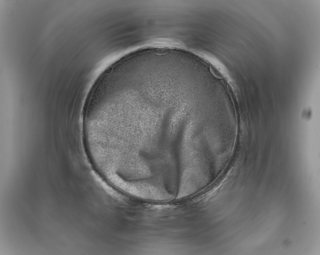 X0000090701335200708101433