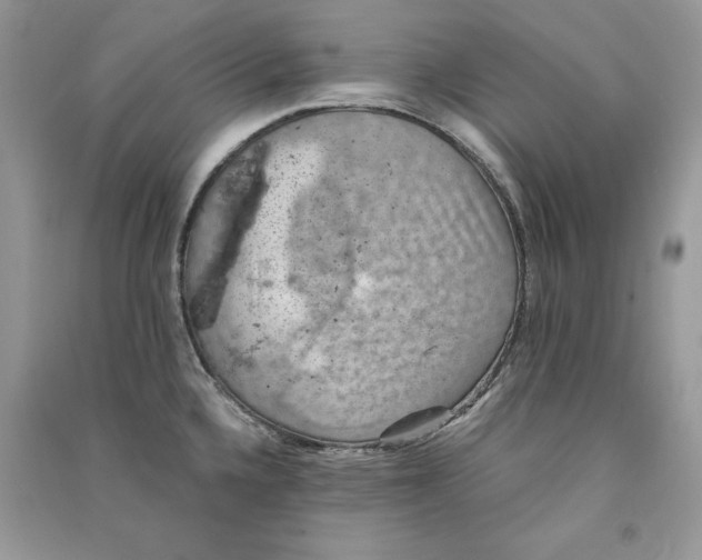 X0000090701336200708101433