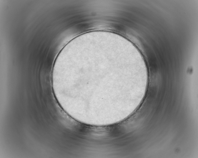 X0000090701338200708101433