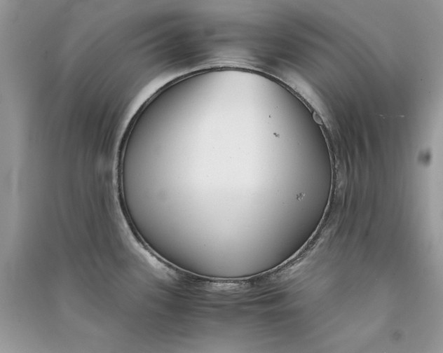 X0000090701339200708101433