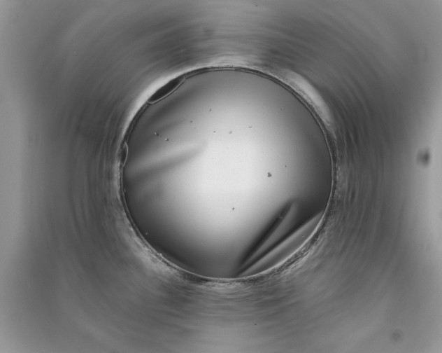 X0000090701340200708101433