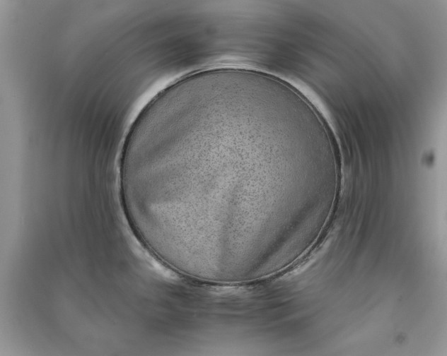 X0000090701341200708101433