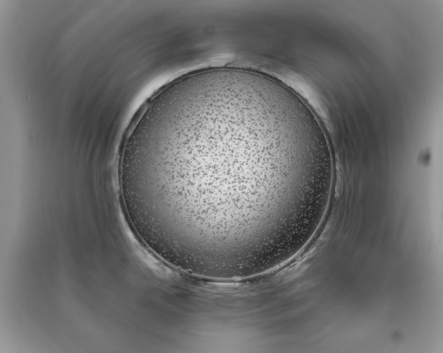 X0000090701342200708101433