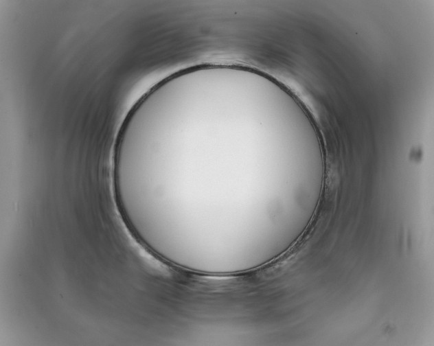 X0000090701343200708101433