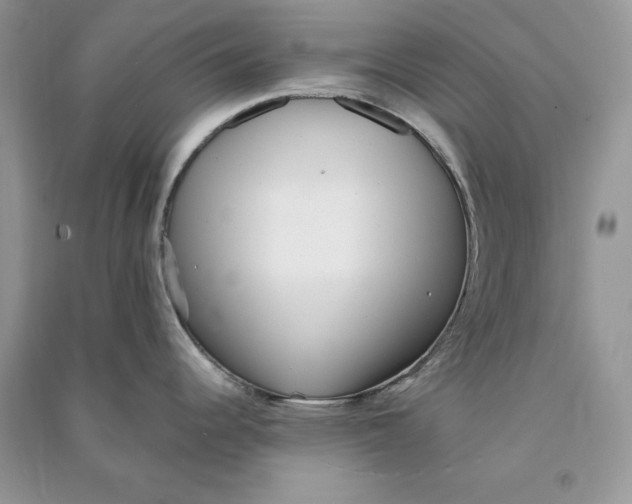 X0000090701344200708101433