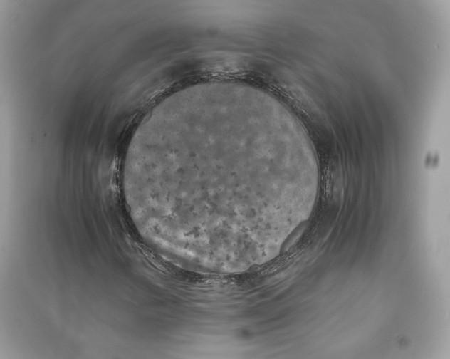 X0000090701346200708101433