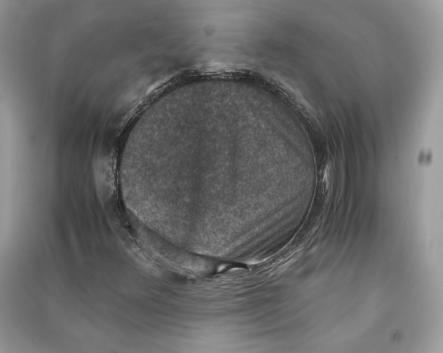 X0000090701348200708101433