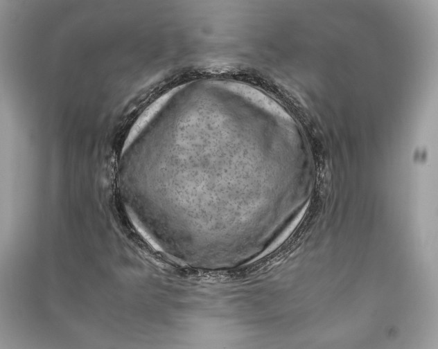 X0000090701349200708101433