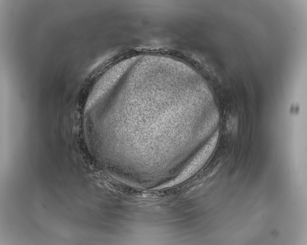 X0000090701350200708101433