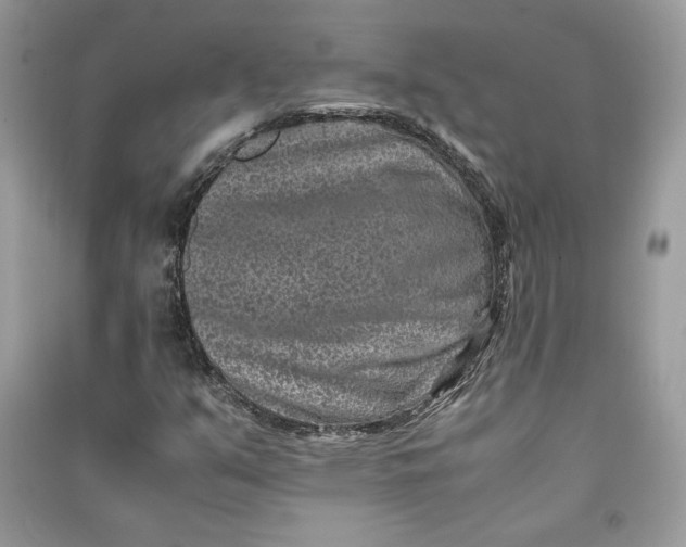 X0000090701351200708101433