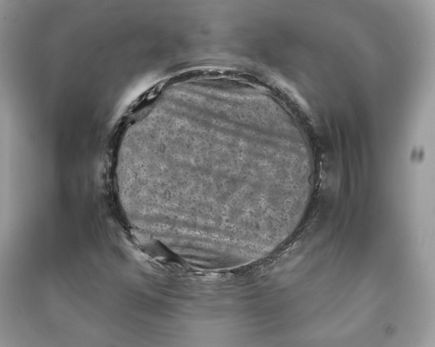 X0000090701352200708101433