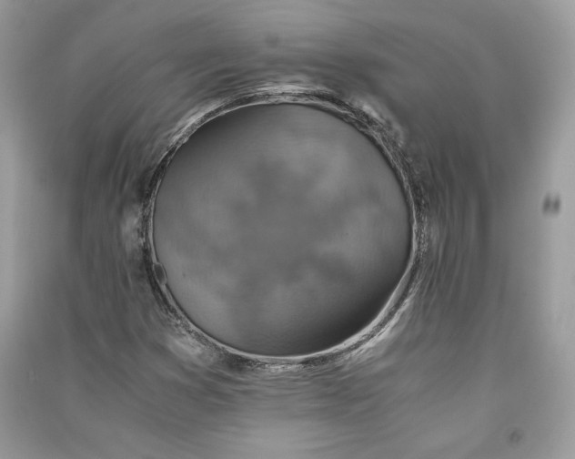 X0000090701353200708101433