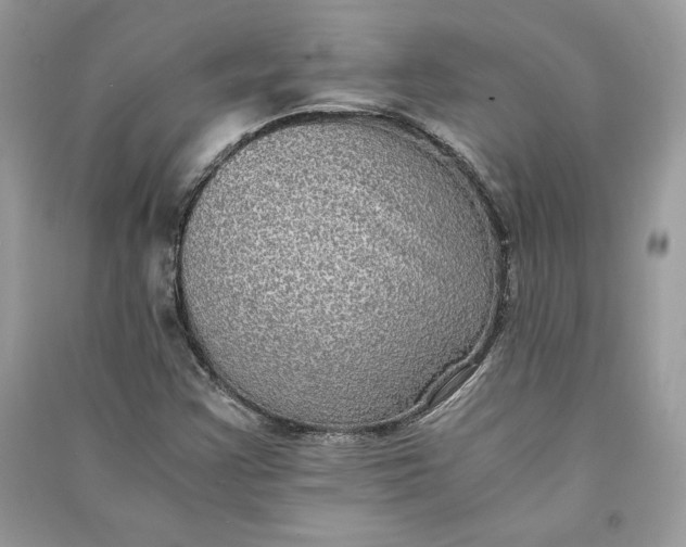 X0000090701355200708101433