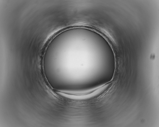 X0000090701356200708101433