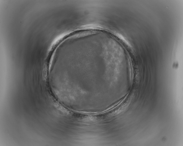 X0000090701358200708101433