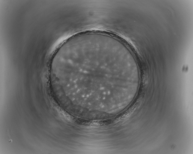 X0000090701359200708101433