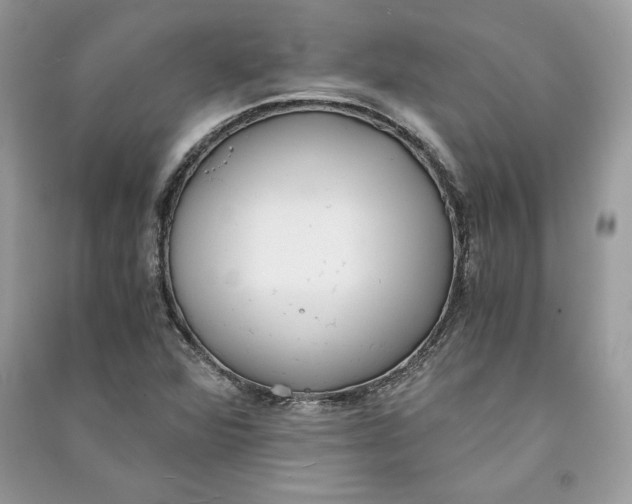 X0000090701360200708101433