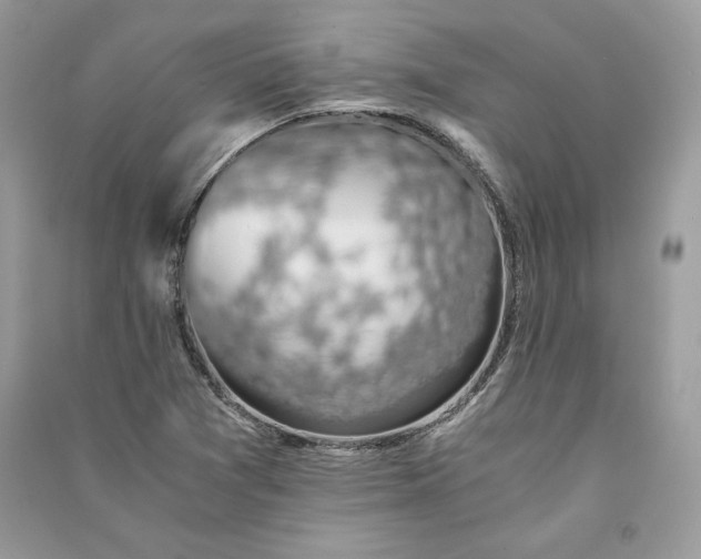 X0000090701361200708101433