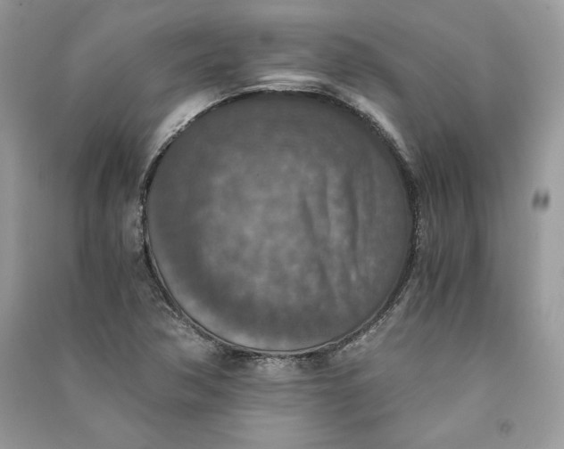 X0000090701362200708101433