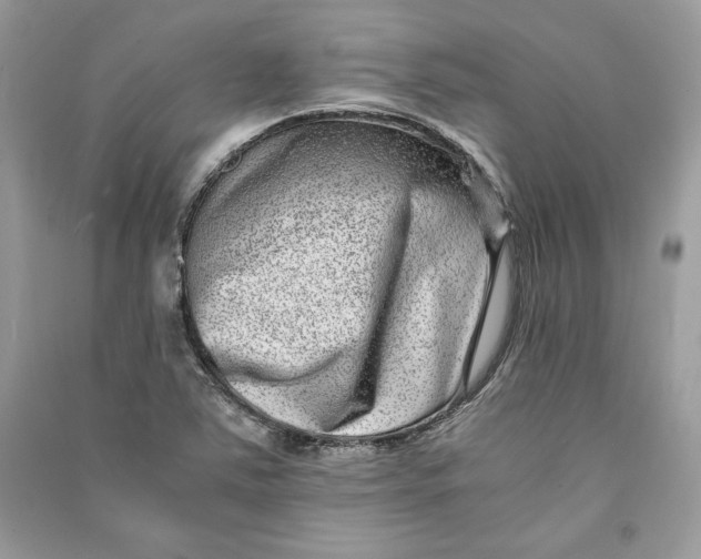 X0000090701363200708101433