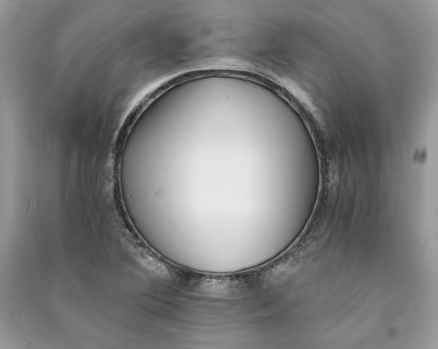 X0000090701364200708101433