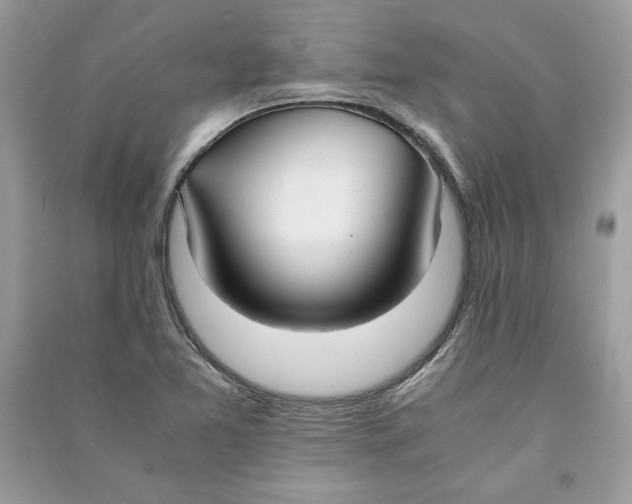 X0000090701365200708101433