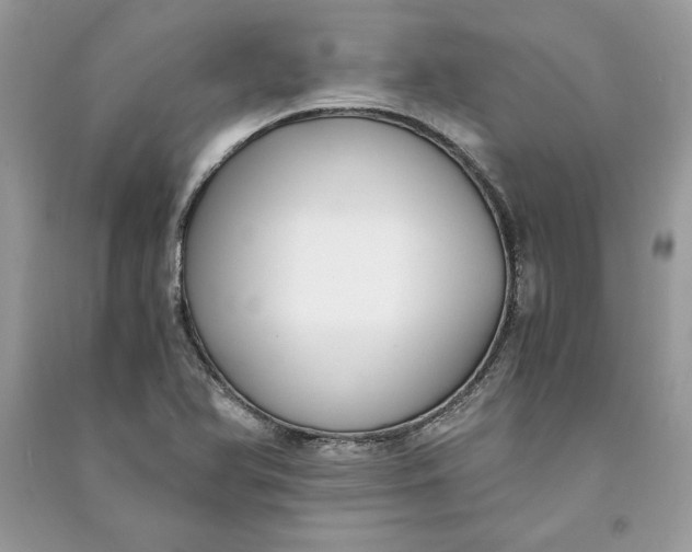 X0000090701366200708101433