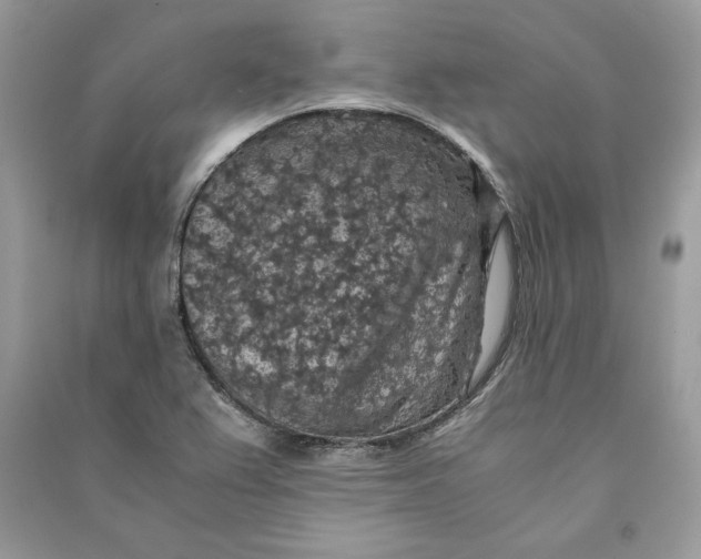 X0000090701367200708101433